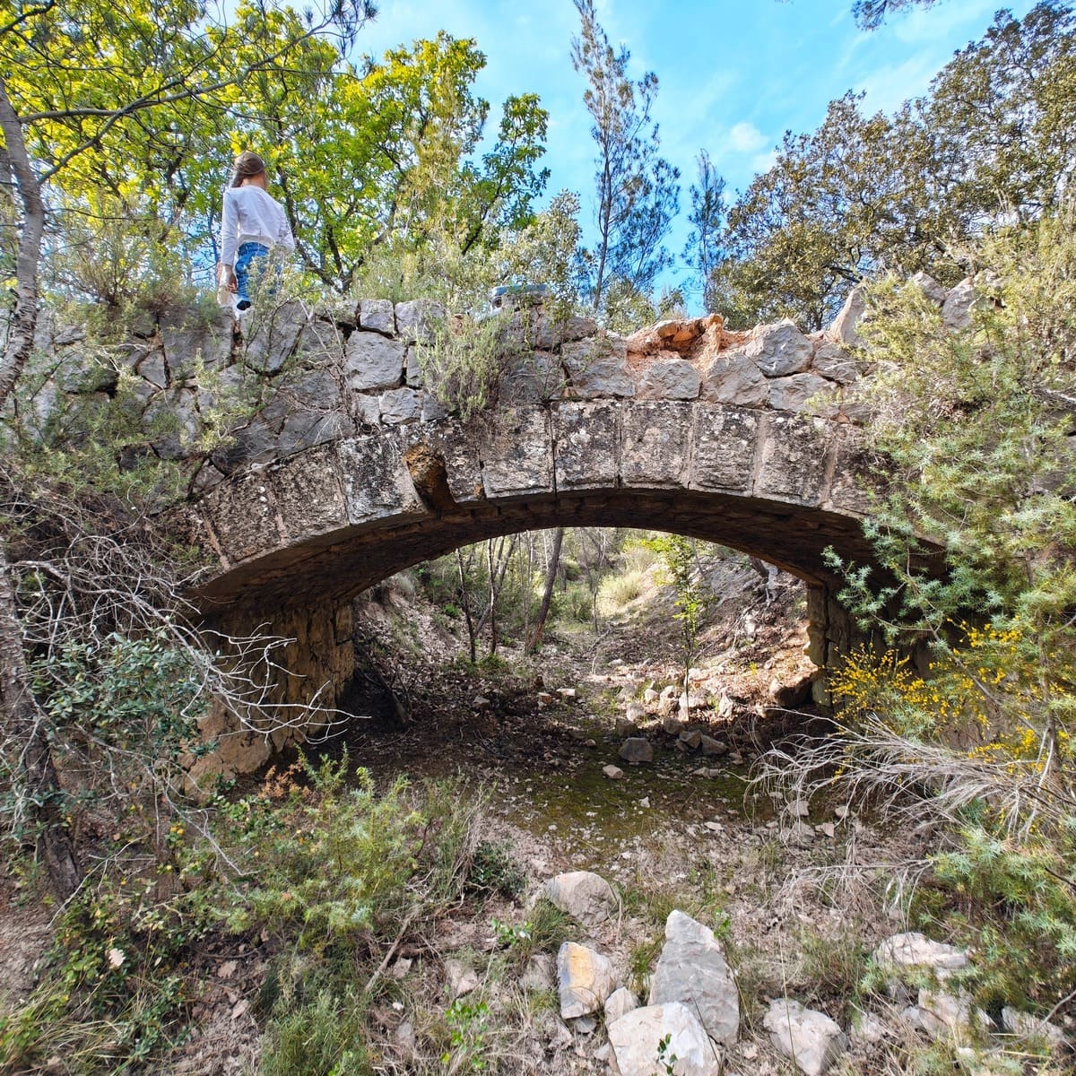 Vue globale Sud du 2d pont du Canal du Verdon - 2026.