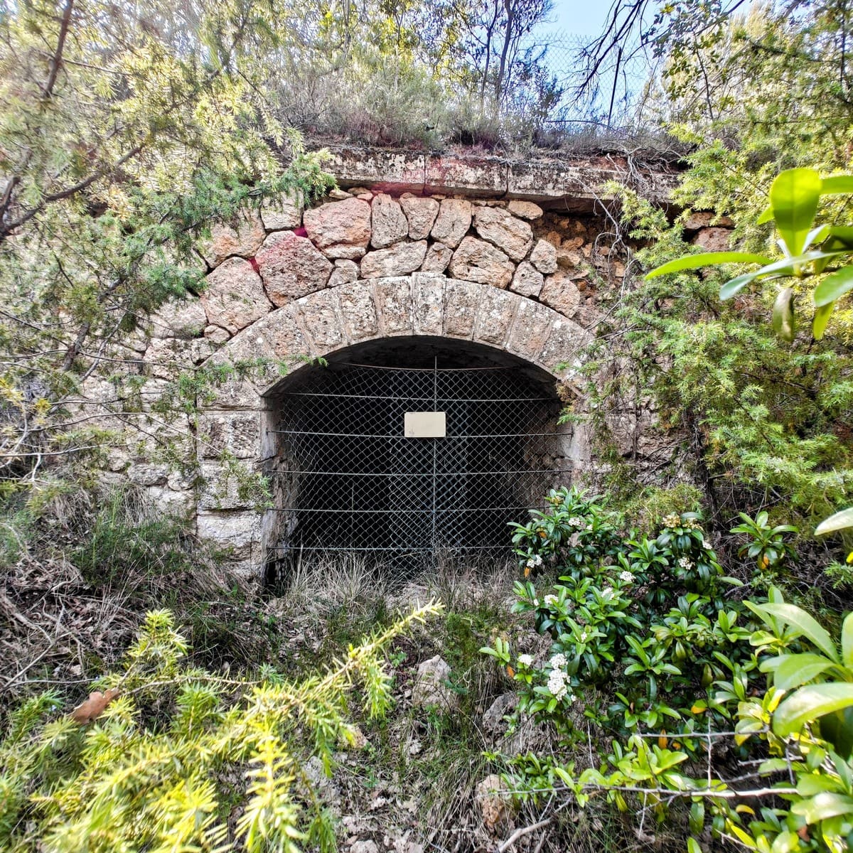 Vue rapprochée Est du tunnel du Canal du Verdon - 2026.