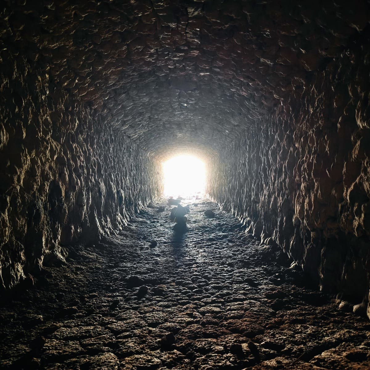 Entrée Est (dos au premier fontis) du tunnel du Canal du Verdon - 2026.